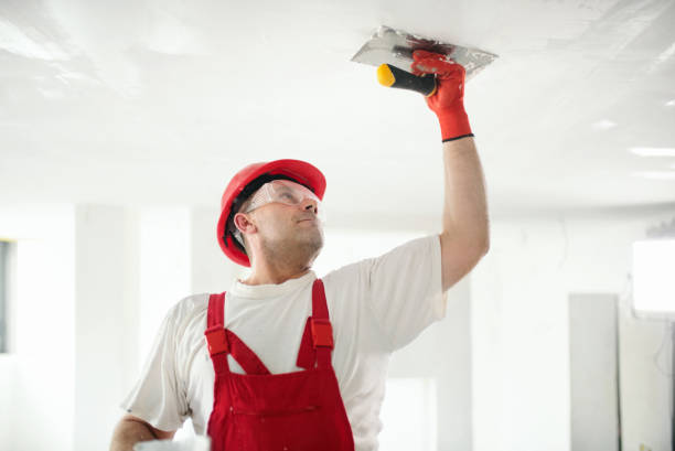 Best Water-Damaged Drywall Repair  in Bowling Green, MD